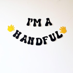 I'm a Handful 5th Birthday Banner for Boys Birthday Party Decoration and Milestone Keepsake or Gift