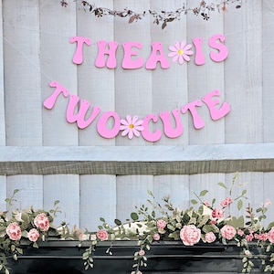 Pu&ograve; includere: Striscione rosa con il testo "Thea is Two Cute" con margherite bianche tra le parole. Lo striscione &egrave; appeso a una recinzione di legno bianca. Una ghirlanda di fiori rosa &egrave; davanti alla recinzione.