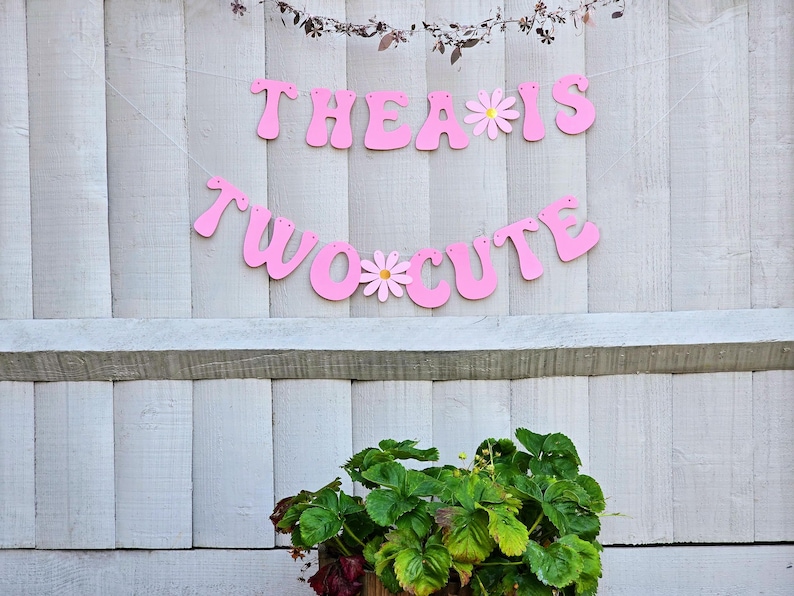 Pu&ograve; includere: Striscione rosa con il testo "Thea is Two Cute" con fiori rosa tra ogni parola. Lo striscione &egrave; appeso a una recinzione di legno bianca.
