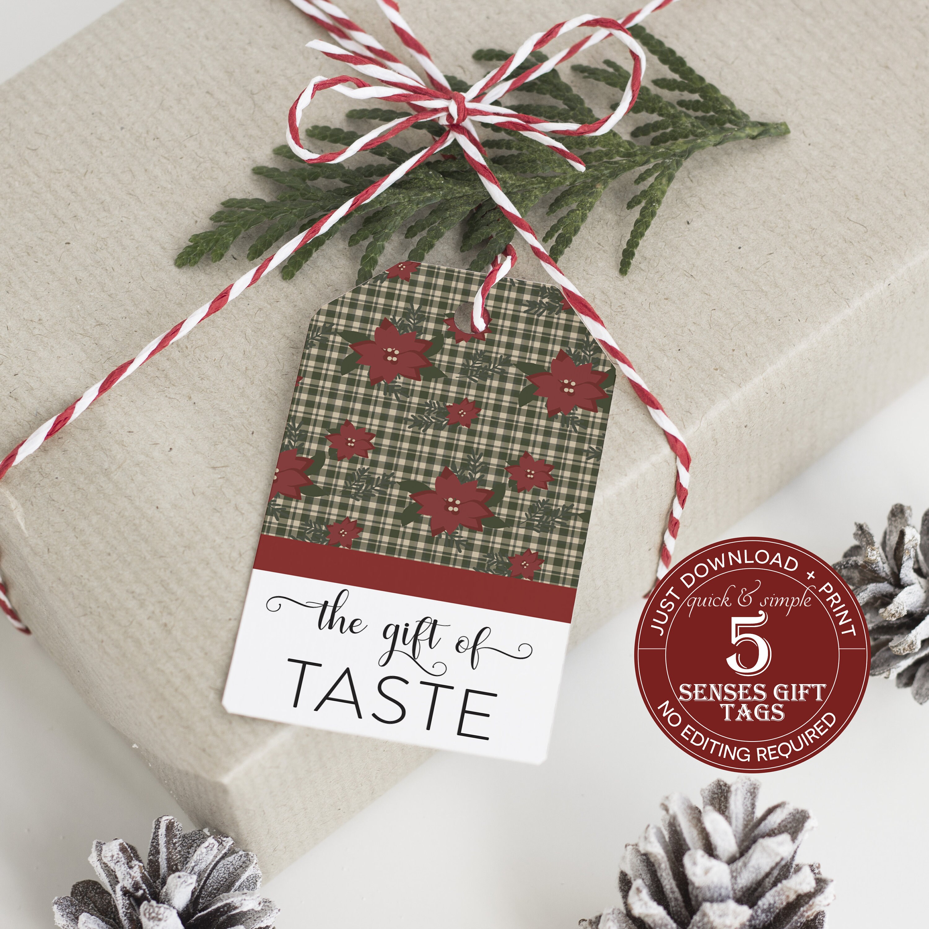 Printable Holiday FIVE SENSES Gift Tags, Christmas Gift Idea, Poinsettia, Gift for Him, Gift for Her, 5 Senses, No Editing, Print & Cut