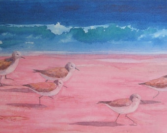 Sandpipers on the Beach