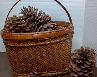 large Florida pine cones, dried and aged rustic