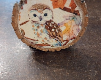 Owl tiered tray decor, fall, Autumn, rustic, hand-made