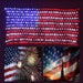 United States of America 3.2ft x 6.5ft Led Flag Net Lights - USA Seller - Super Fast Shipping 