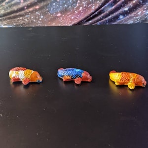 Colorful Koi Fish