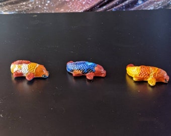 Colorful Koi Fish