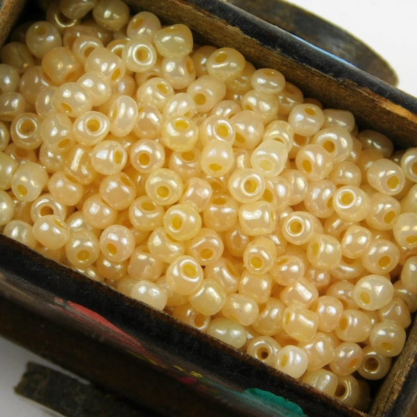 6/0 Seed Beads - Opaque Champagne Ceylon Seed Beads - Yellow Seed Beads - Glass Seed Beads - Jewelry Supplies - Jewelry Making