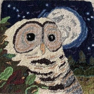 Star Gazer/Owl rug hooking pattern