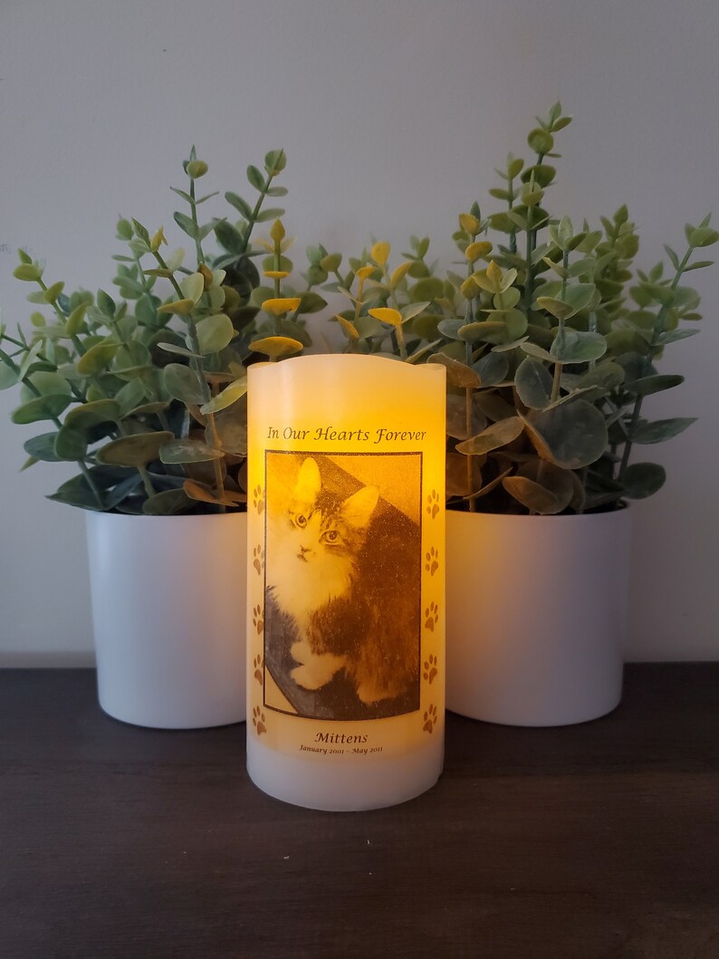 Pet Memorial Candle Memorial That Goes for Dogs Cats or Etsy