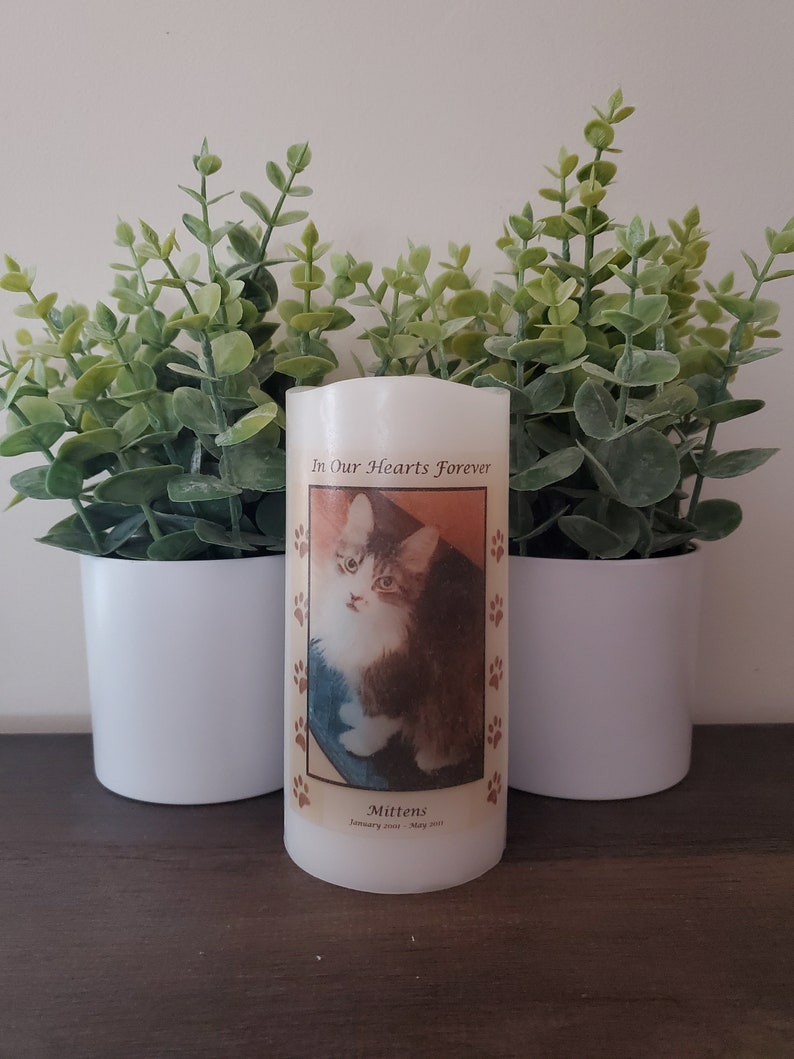Pet Memorial Candle Memorial That Goes for Dogs Cats or Etsy