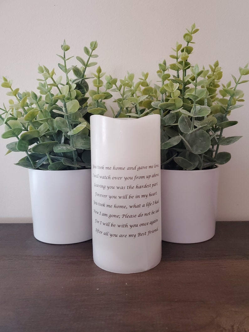 Pet Memorial Candle Memorial That Goes for Dogs Cats or Etsy