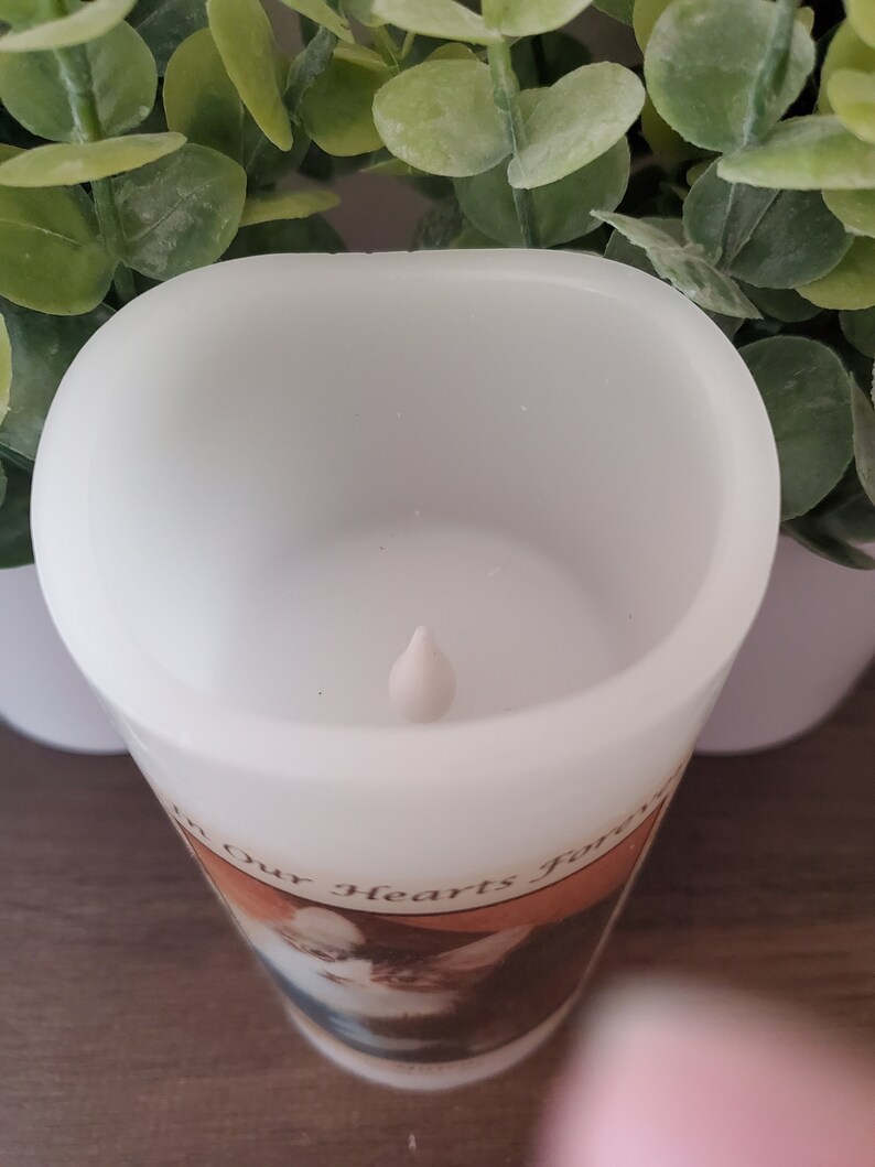 Pet Memorial Candle Memorial That Goes for Dogs Cats or Etsy