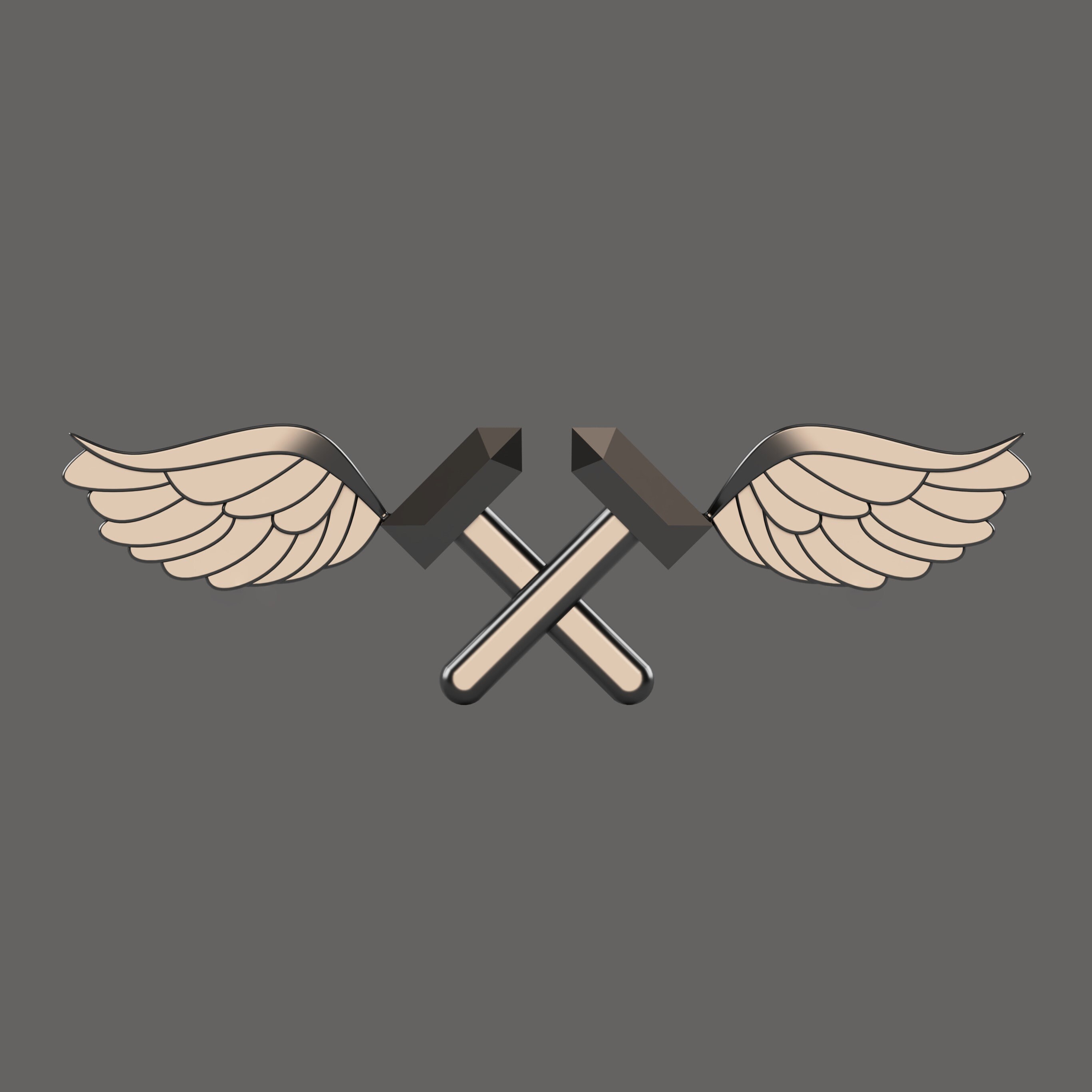 Navy Aviation Structural Mechanic AM Rating Badge 3D Stl Etsy navy-aviation-structural-mechanic-am-rating-badge-3d-stl-etsy