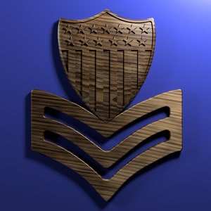 Pode incluir: Uma insígnia de posto da Força Aérea dos Estados Unidos em madeira com dois galões e um escudo com a bandeira americana.