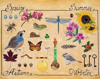 4 Seasons limited edition Nature Print