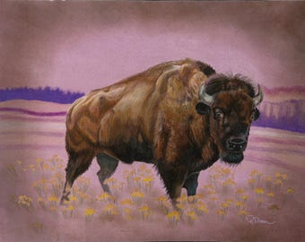 Bison Buffalo purple mountain Limited Edition Nature art print
