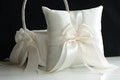 Flower Girl Basket and Ring Bearer Pillow Set, Wedding Basket, Off White Basket for Wedding, Flower Girl Baskets Gift Proposal Flower Basket
