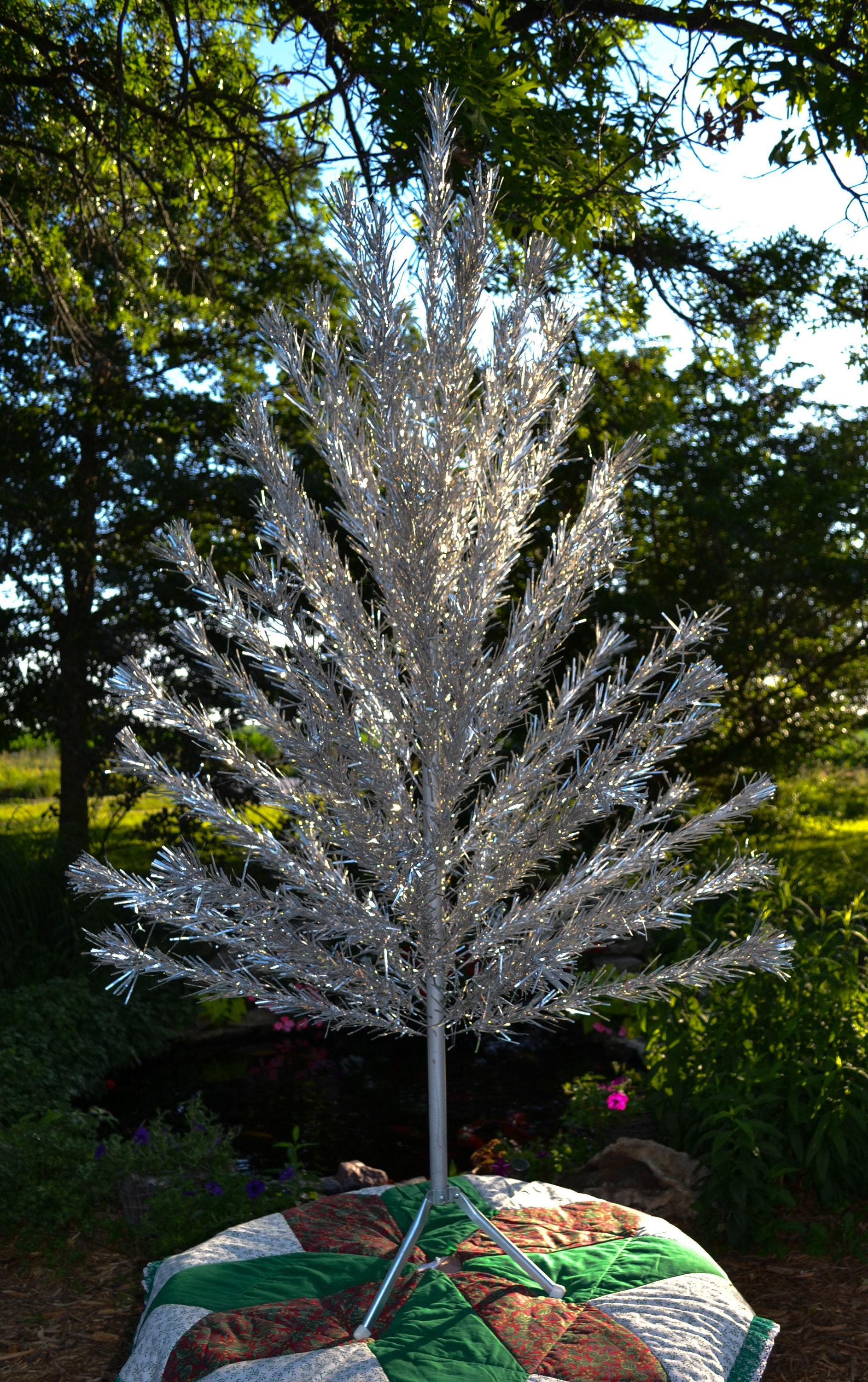 Angel pine christmas tree Clearance