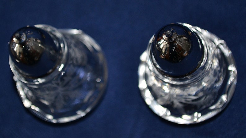 Fostoria Glass Heather Pattern Salt and Pepper Shakers Fostoria Etched Salt and Pepper Shakers