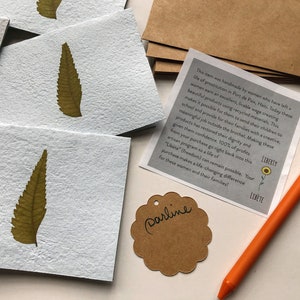 Leaf Stationery. Made in Haiti. Sets of 6. Handmade paper. Botanical stationery. Folded note cards. Plant lover. Blank cards. Paper goods. image 4