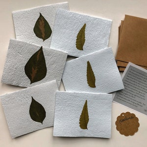 Leaf Stationery. Made in Haiti. Sets of 6. Handmade paper. Botanical stationery. Folded note cards. Plant lover. Blank cards. Paper goods. image 1