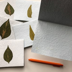 Leaf Stationery. Made in Haiti. Sets of 6. Handmade paper. Botanical stationery. Folded note cards. Plant lover. Blank cards. Paper goods. image 6