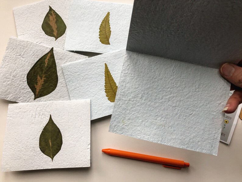 Leaf Stationery. Made in Haiti. Sets of 6. Handmade paper. Botanical stationery. Folded note cards. Plant lover. Blank cards. Paper goods. image 6