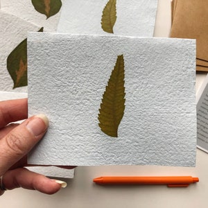 Leaf Stationery. Made in Haiti. Sets of 6. Handmade paper. Botanical stationery. Folded note cards. Plant lover. Blank cards. Paper goods. image 2