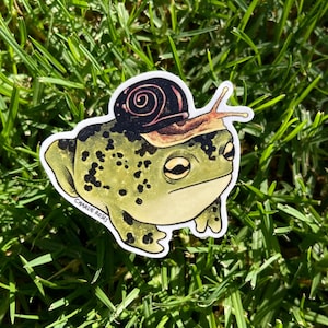May include: A sticker featuring a green frog with black spots and a brown snail on its back. The frog has a light-colored belly and dark eyes. The text Charlie Roses is printed in small black letters on the lower left side of the frog's body.