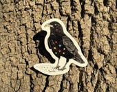 Artikel aus diesem Shop