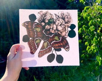 Atlas Moth Art Print