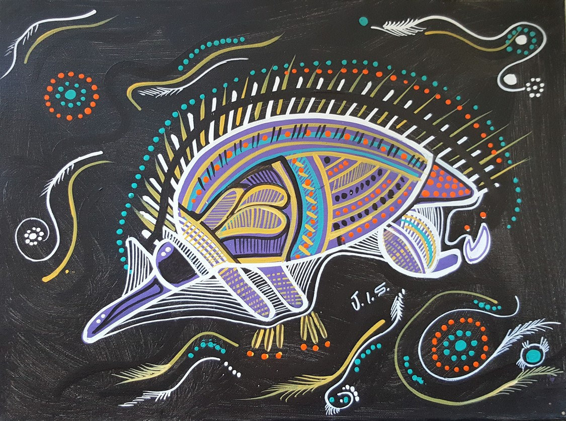 Xray Aboriginal Painting of Porcupine Australian Art Joe Etsy