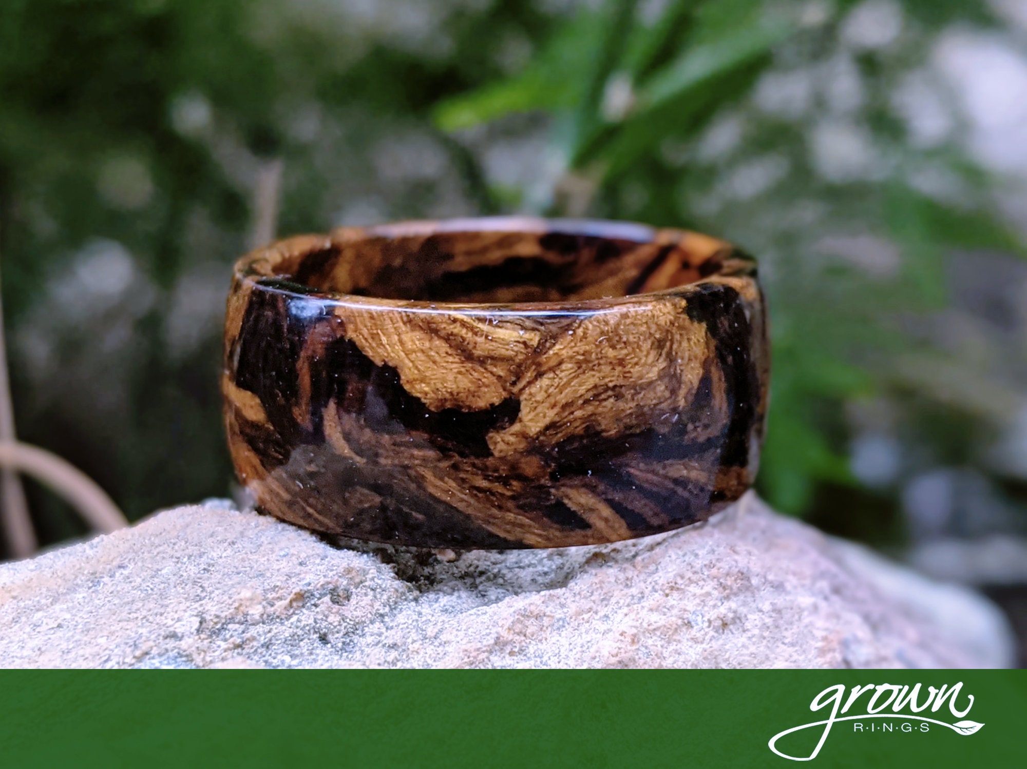 Desert Ironwood for sale Only 2 left at 65