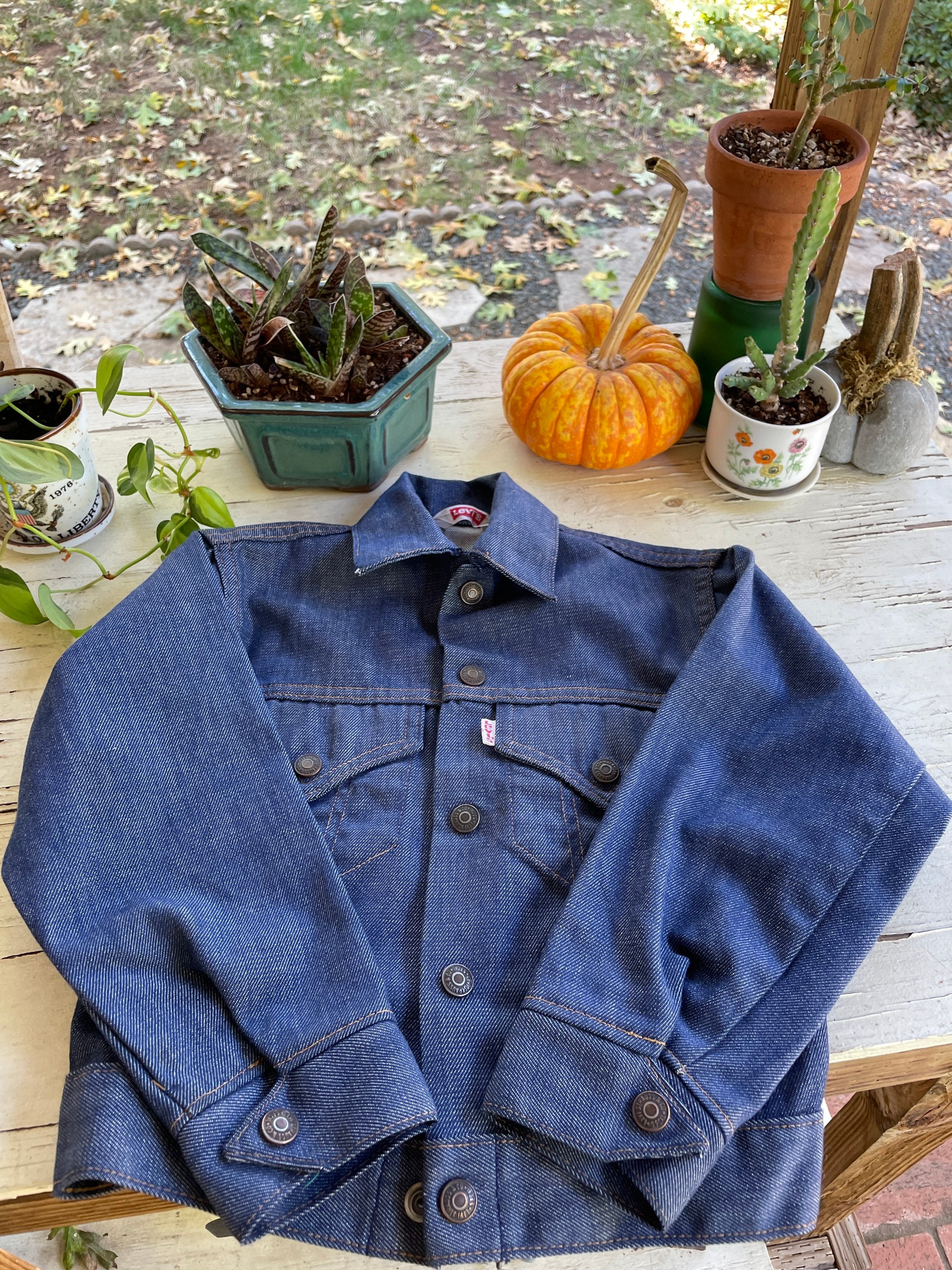 Kids Custom Levi's Denim Jacket | Little Chicken Kids Clothing 3T / Dark Wash Denim