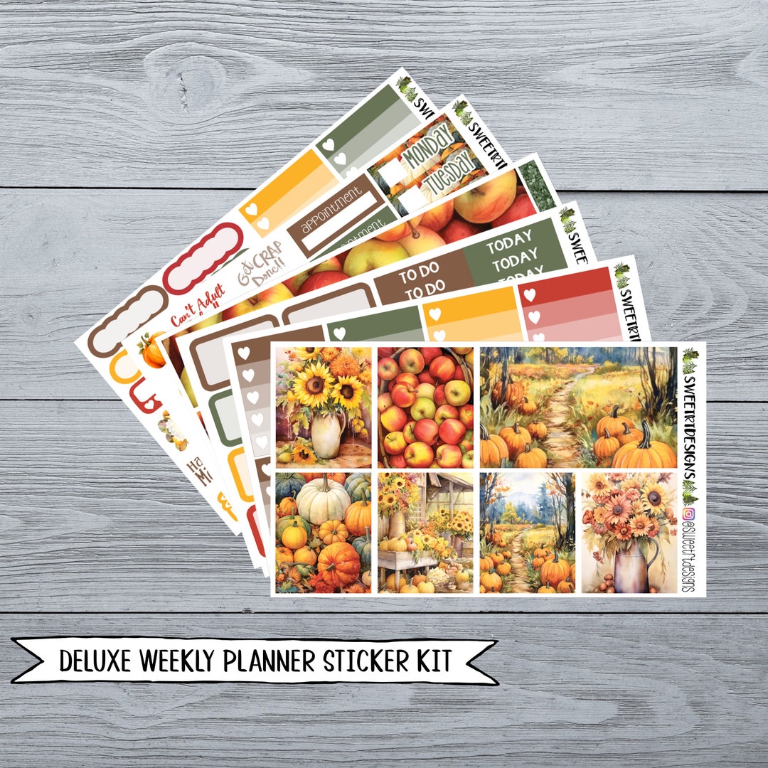 Deluxe Weekly Planner Sticker Kit - Etsy