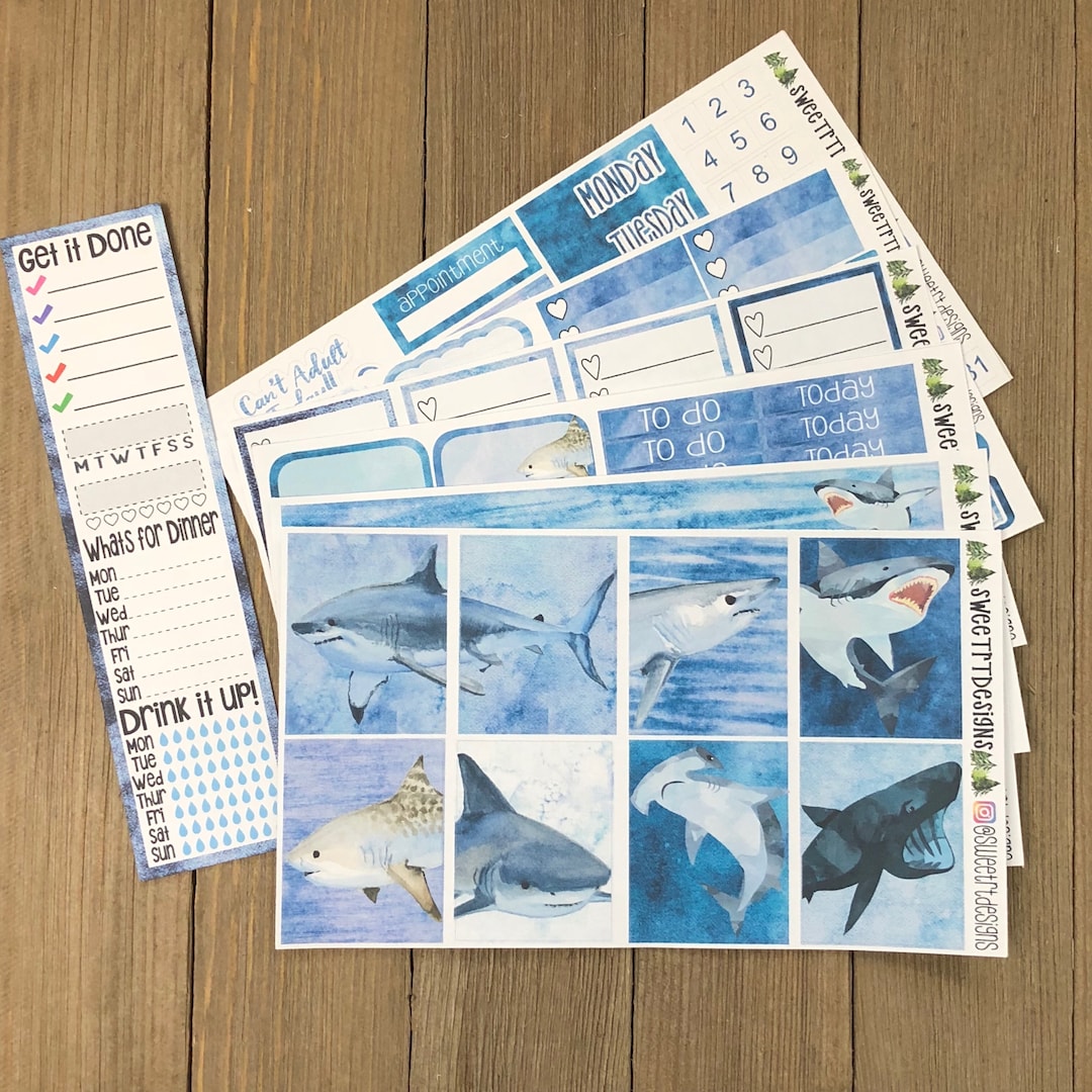 Deluxe Weekly Planner Sticker Kit - Etsy