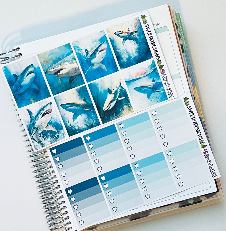 Deluxe Weekly Planner Sticker Kit - Etsy