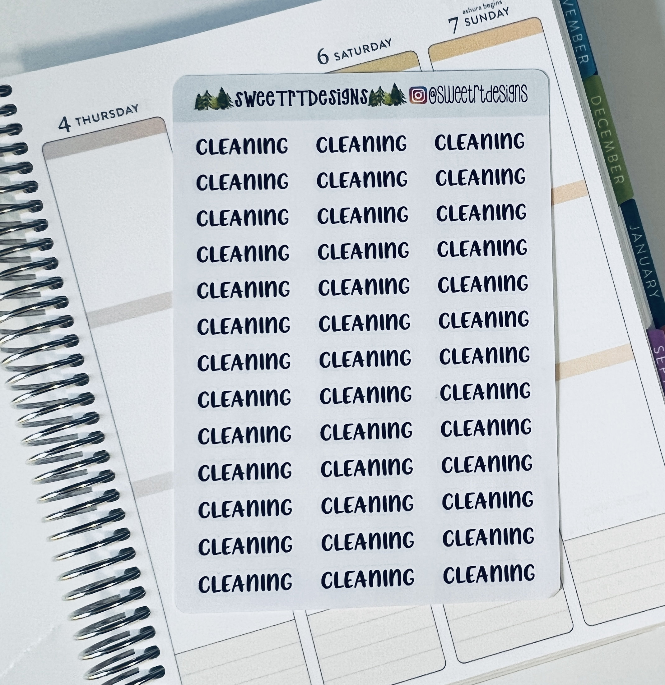 Cleaning Script Planner Stickers - Etsy