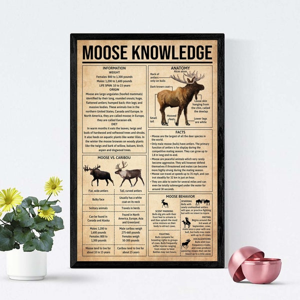 Moose Knowledge Poster, Moose Lover Gift, All About Moose, Vintage Knowledge Poster, Knowledge Art, Home Wall Art, Education Wall Decor