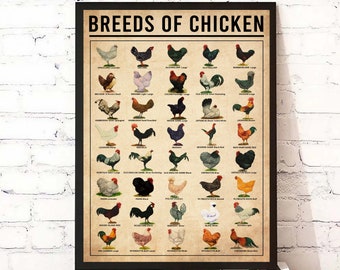 Breeds Of Chickens Knowledge Poster, Chicken Wall Art, Type Of Chicken, Chicken Types Poster, Farmhouse Decoration, Farmhouse Wall Hanging