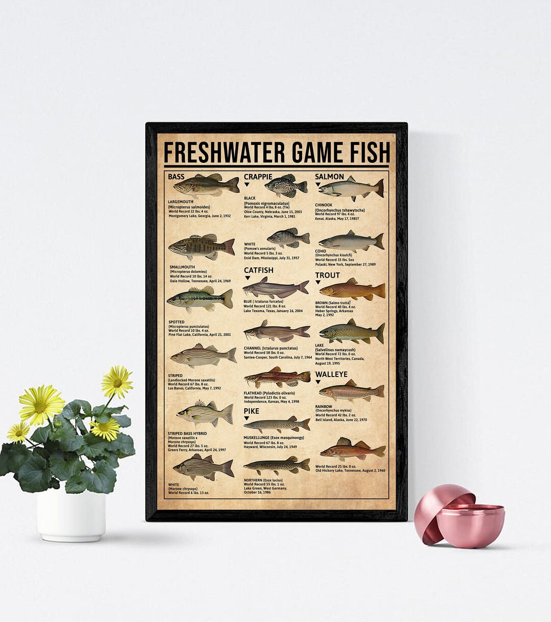 Freshwater Game Fish Knowledge Poster, Fishing Knowledge Poster