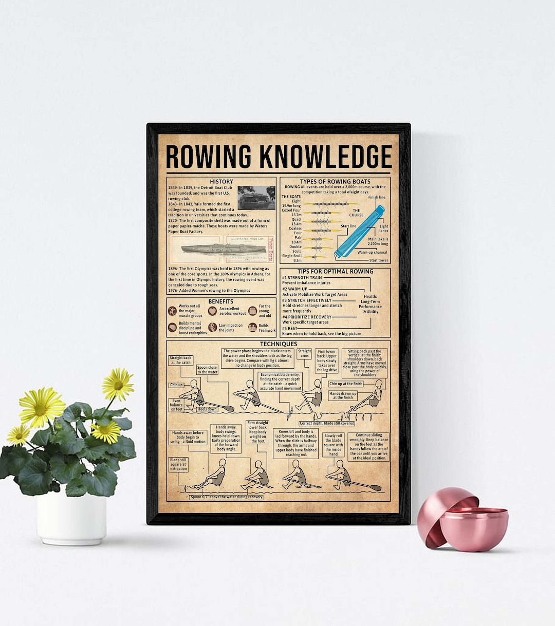 Vintage Rowing Knowledge Poster, Types of Rowing Boats, Rowing Wall Art