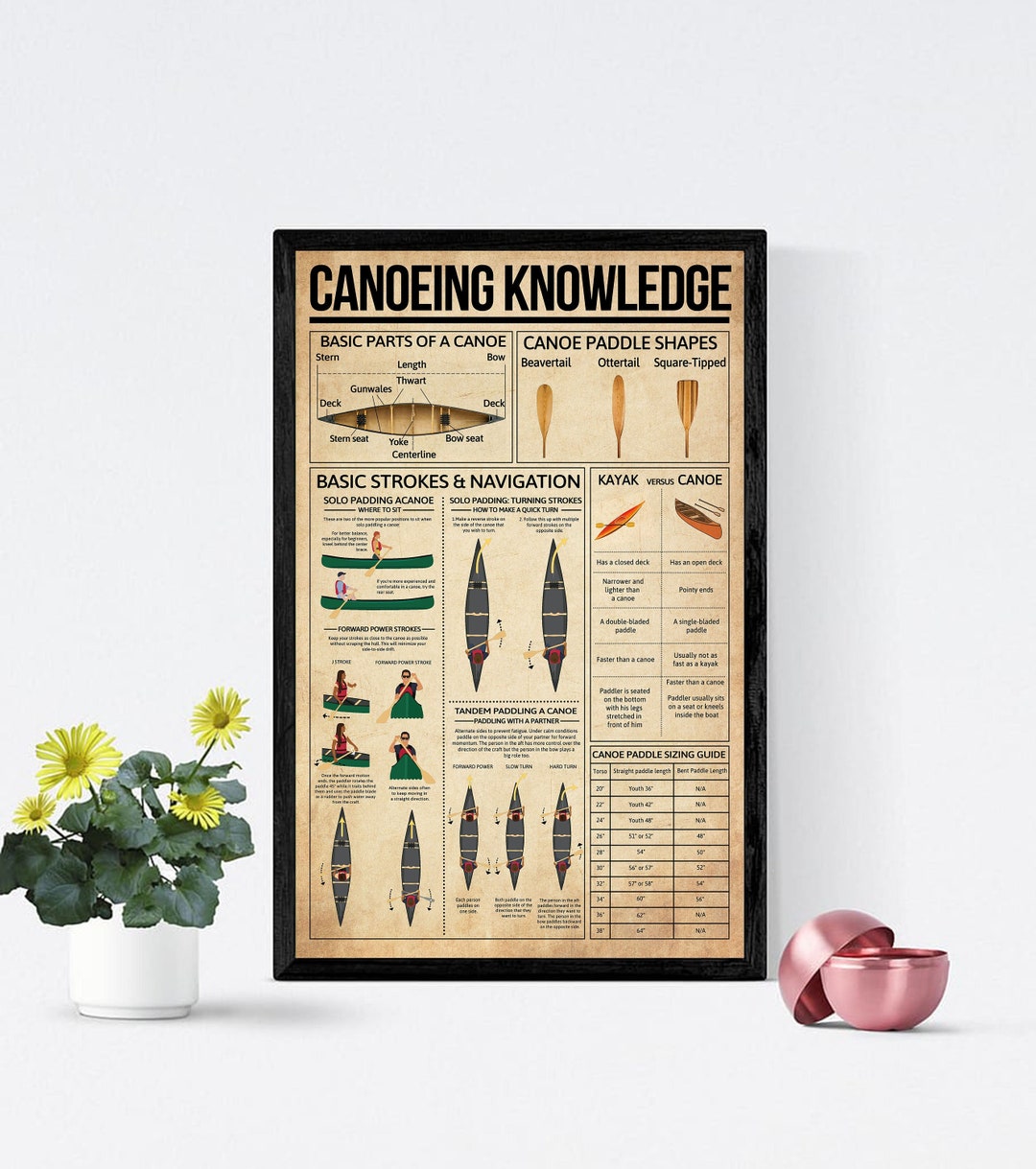 Canoeing Knowledge Poster, Basic Parts of A Canoe, Canoe Paddle Shapes, Basic Strokes Navigation
