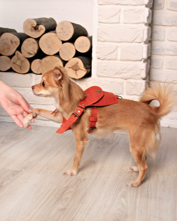 Leather Dog Harness Small For Dogs - Small Dog Leather Harness Leather Dog Harness Small For Dogs - Small Dog Leather Harness