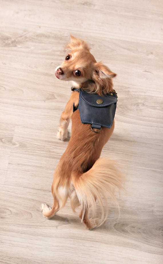 pet harness for small dogs