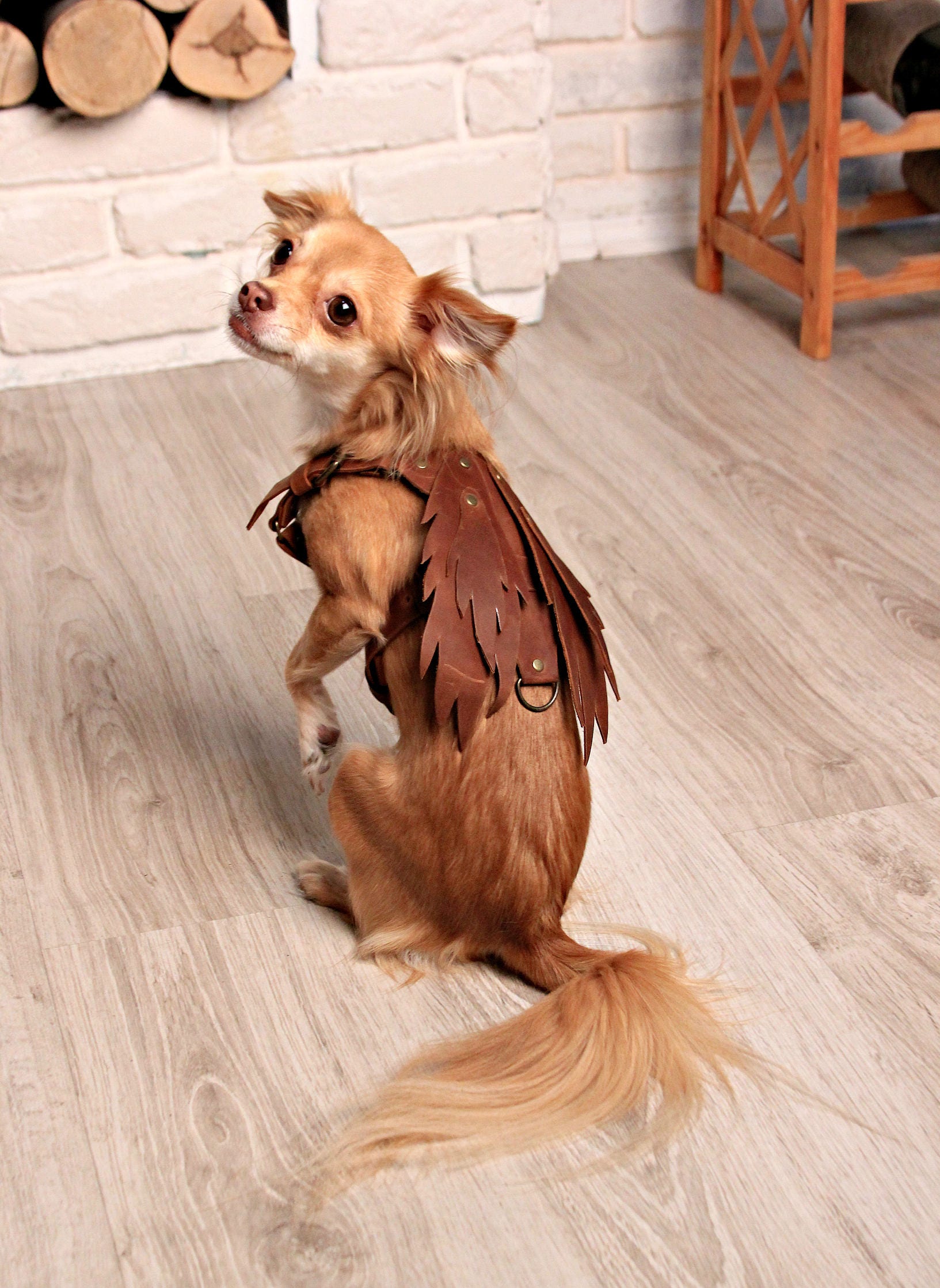 Small Dog Harness Leather Tiny 50
