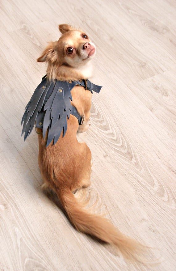 small dog body harness