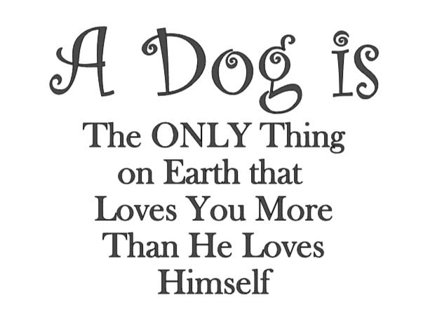 Dog Quotes for Sublimation Cricut Vinyl PNG File - Etsy