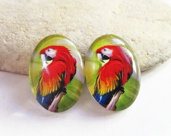 2 Colorful Macaws Glass Dome Cabochons for 18x25mm Oval Settings | Cabochon Earrings Necklaces Rings Key Chains Brooch Pendants DIY Jewelry