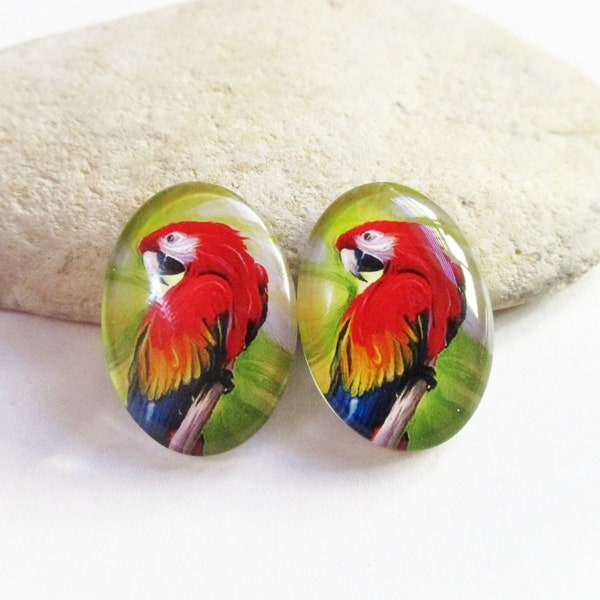 2 Colorful Macaws Glass Dome Cabochons for 18x25mm Oval Settings | Cabochon Earrings Necklaces Rings Key Chains Brooch Pendants DIY Jewelry